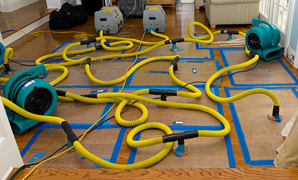 Professional Water Extraction technician working in Princeton, IL